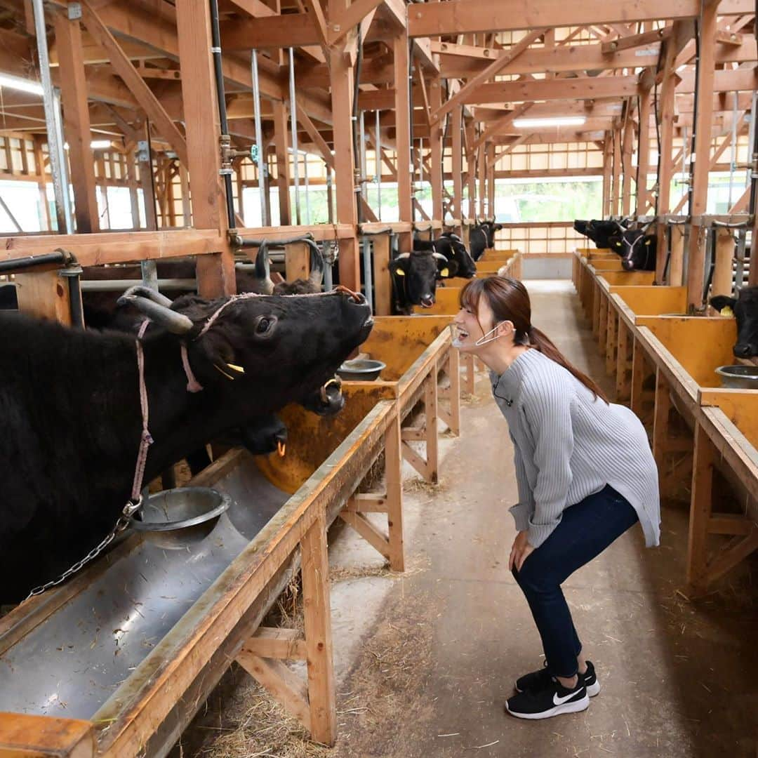 清水麻椰のインスタグラム