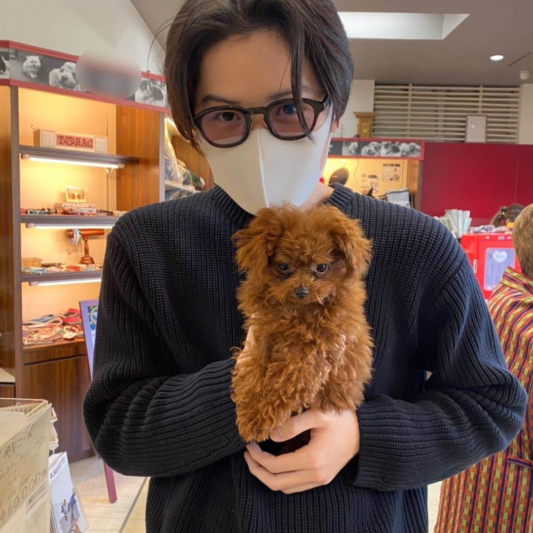 江原蓮さんのインスタグラム写真 - (江原蓮Instagram)「. 姉の犬と会ってきました（2匹目） #トイプードル  #タイニープードル  #ティーカッププードル  #この子はなにプードル？  基本的にこれより大きくならないらしい。」10月31日 12時58分 - ehararen