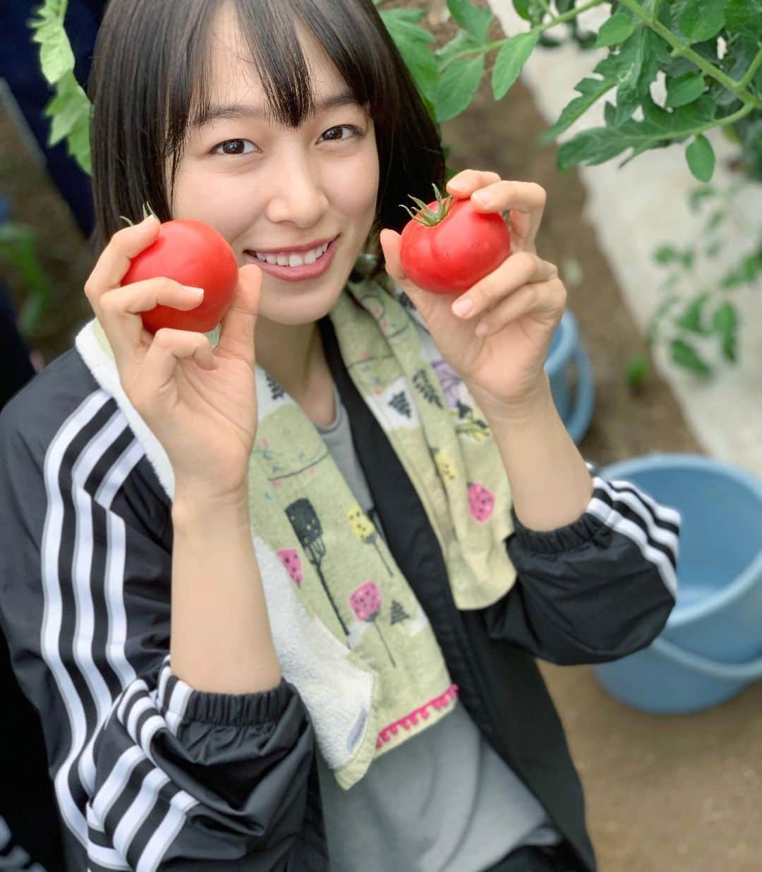 坂田莉咲のインスタグラム：「最近畑に行けてないから早く行きたい🍅  トマトは収穫前に水をあげないことによってストレスがかかり甘くなるんです！  　#農業　#農業女子　#トマト　#🍅」