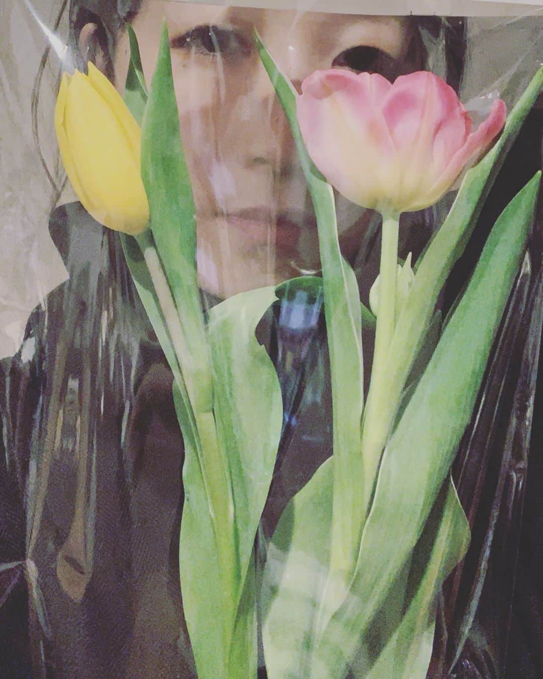 たむらぱんのインスタグラム：「お花を預かった😊💐🐶」