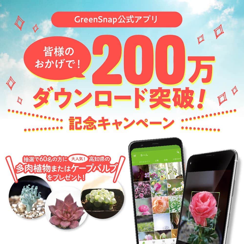 みどりで、つながる GreenSnapのインスタグラム