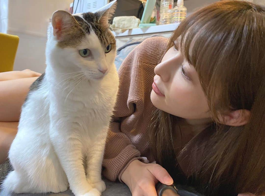 岬ななみさんのインスタグラム写真 - (岬ななみInstagram)「🤍 愛猫🤗🐈 .」10月31日 14時28分 - misaki_nanami7