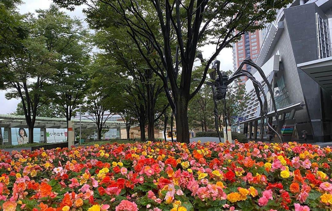 テレ朝newsさんのインスタグラム写真 - (テレ朝newsInstagram)「きょうは西日本から東日本の広い範囲で冷たい雨となります。九州から近畿は午後に天気が回復してきますが、関東や東海は夜にかけて降り続きそうです。#テレビ朝日#テレ朝#テレnews#ニュース#六本木#毛利庭園#japan#tokyo#roppongi#tvasahi#news#follow#フォロー#写真#テレビ局#動画ニュース#雨#天気#曇#天気予報#いまそら」10月17日 7時33分 - tv_asahi_news