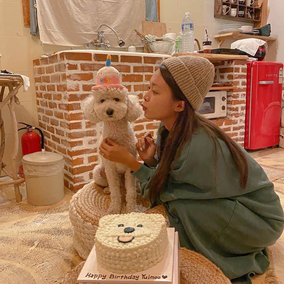 キム・ダヘのインスタグラム：「내새낑 생일축하하개🐶🤍 율무는 유기견이라 생일을 정확히 몰라서 그냥 우리집에 온날을 생일로 정했어요! 오늘이 우리 만난지 딱 일년 사랑해 똥개야 건강하자 🤍🤍🤍🤍🤍」