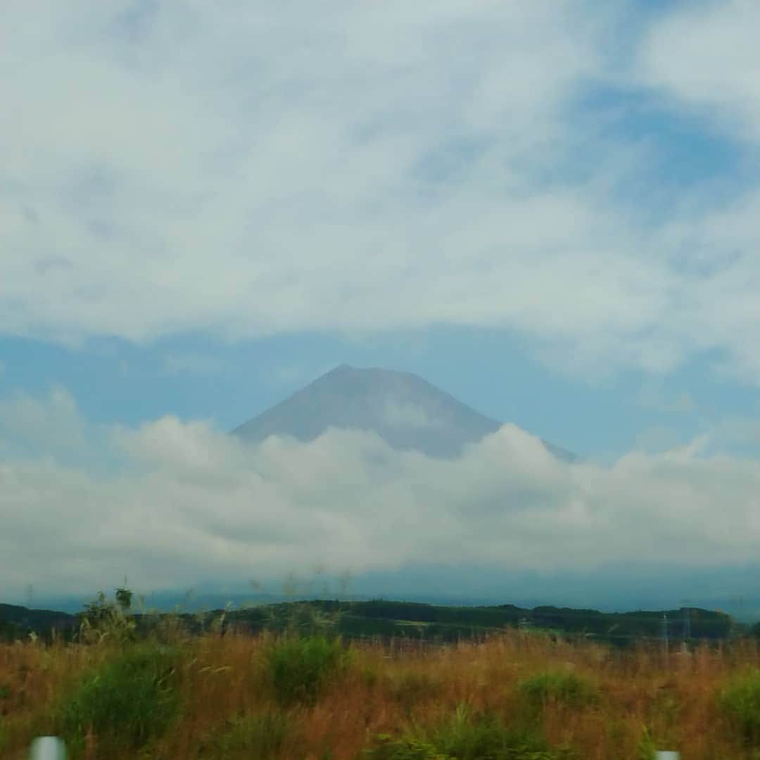 吉井怜のインスタグラム