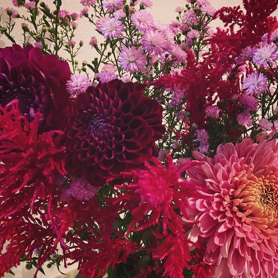 辻直子さんのインスタグラム写真 - (辻直子Instagram)「#autumnflowers#ithink#prettygood☺︎ #大胆でシャープで奥はやわらかくって👌🏻 おやすみなさい😴」10月16日 22時57分 - naoko.ts