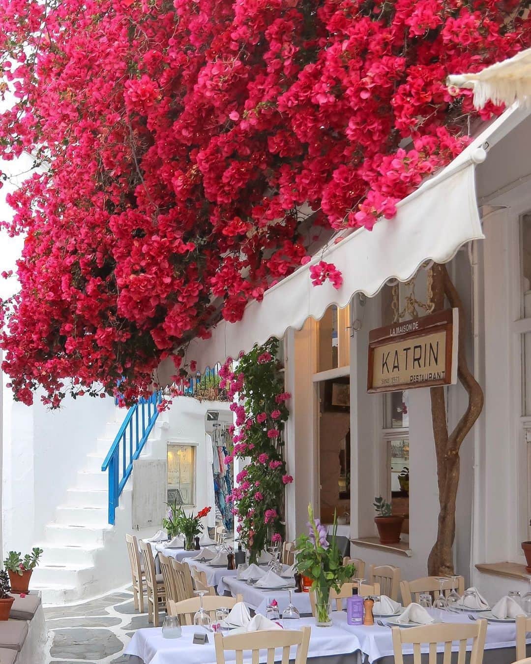 MT DOMAINEさんのインスタグラム写真 - (MT DOMAINEInstagram)「A very bright and happy #FlowerFriday from Greece. 📸: @mygreatescapes」10月16日 23時00分 - mydomaine