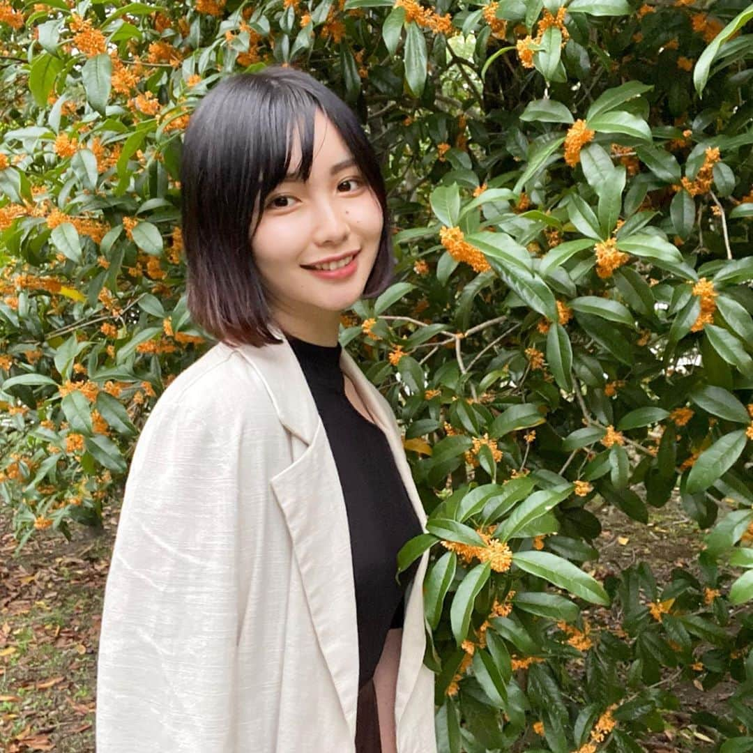 志茂彩奈さんのインスタグラム写真 - (志茂彩奈Instagram)「みなさん1週間おつかれさまです✨ 私もバイト頑張りました💪  いきなりですがみなさんこの花がなにかわかりますか？ そうっ！正解！！(?)キンモクセイです🧡  同女にはたくさんのキンモクセイが植えられていて、校内を歩いていると微かにキンモクセイの香りがするんです☺️ いつも登校する時に存分に香って授業に臨んでいます🙋‍♀️ お花は癒し効果抜群ですね〜💐 ・ ・ 週の終わり、ぜひ投票していただけたら嬉しいです😢 もう終わってるよって方、いつも本当にありがとうございます😳✨  #ミスキャンパス同志社女子2020  #ミス同女 #ファイナリスト #ミスキャンパス #しもぽち #同志社女子大学#キンモクセイ#金木犀#花 #癒しの空間」10月16日 23時03分 - nayaas___