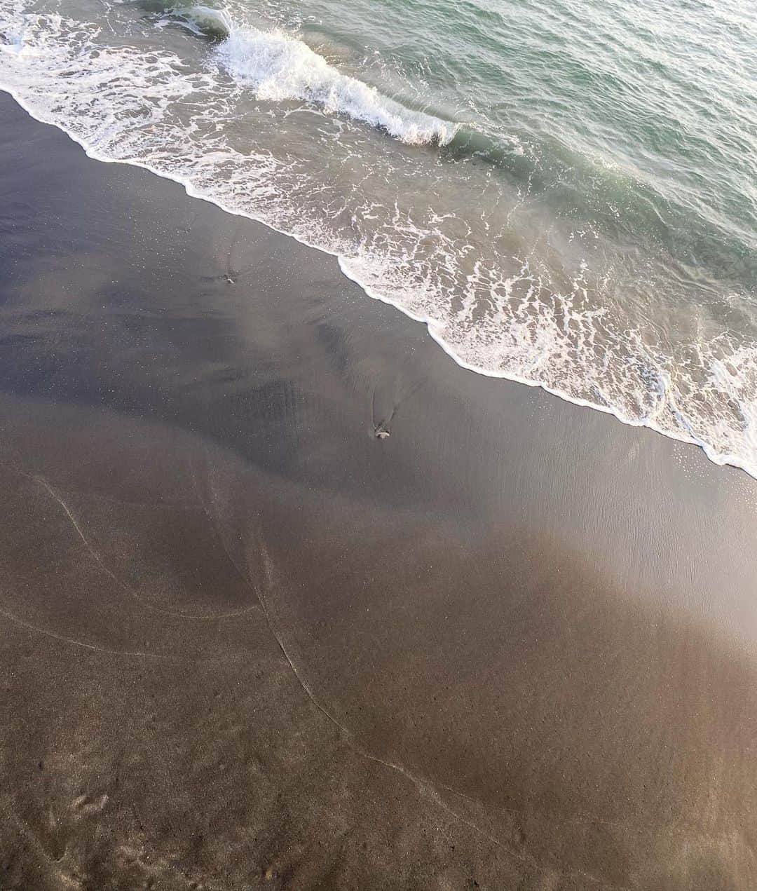 本郷多香子さんのインスタグラム写真 - (本郷多香子Instagram)「今年の夏は大好きな海は 沢山は行けなかったけど、 入らない海も好きだなぁ🌊  心をクリーンにしたい時は 海に行くか、長風呂をするのが 自分のマイルール✌🏻」10月16日 23時26分 - tkk0101