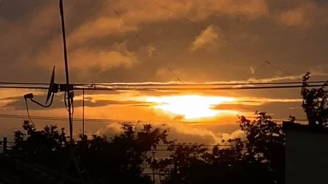 DAOKOのインスタグラム：「Please enjoy my new music video of Achilles Ken from my 4th album “anima”. I often feel peaceful looking at the warm dusk glow after a long day. I hope this video gives you a moment like that. Subtitles are available for both JPN and ENG.」