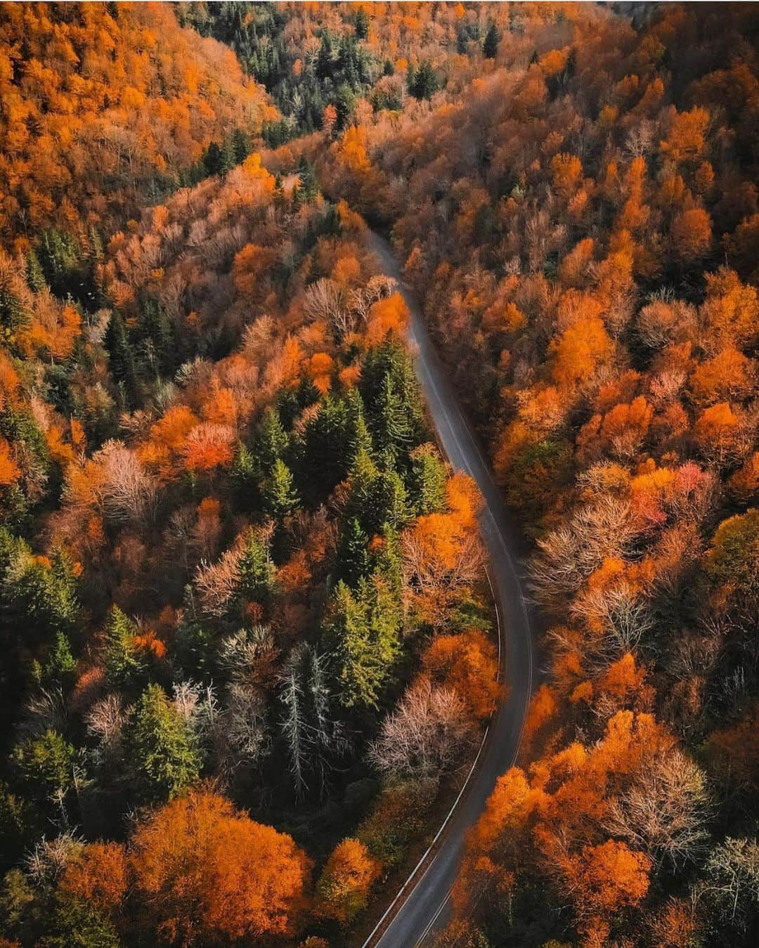 FOLKのインスタグラム：「I’ll just leave this photo by @andrewtburns right here. I hope y’all have a great day!」