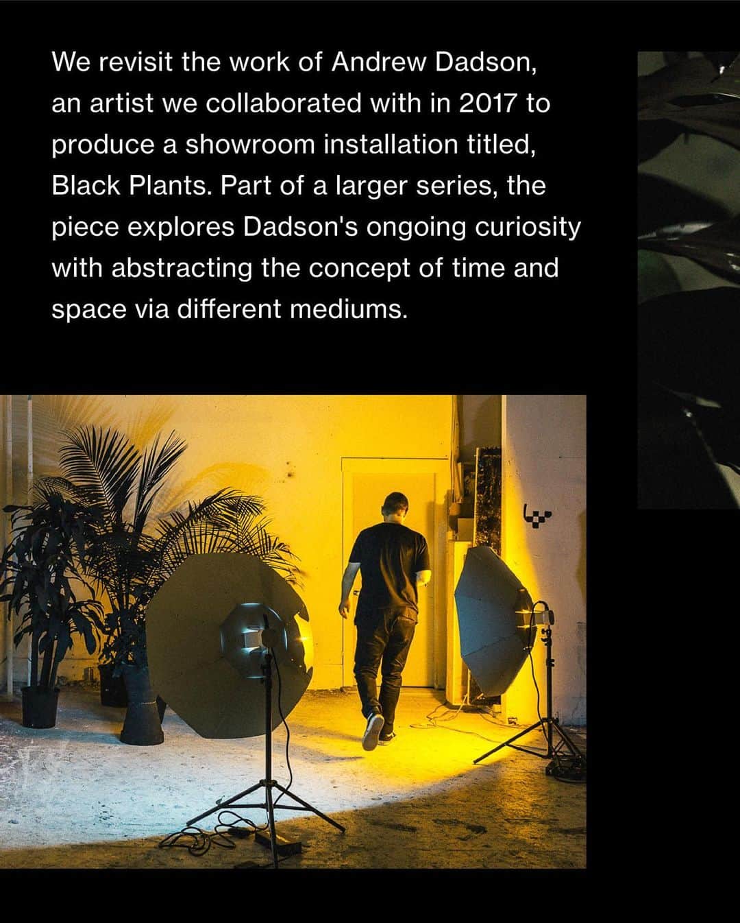 ウィングスアンドホーンズさんのインスタグラム写真 - (ウィングスアンドホーンズInstagram)「The Makers · Andrew Dadson⠀ ⠀ The process around how and why we make things defines us. As we take time to rest and reflect, we want to share the stories of friends, collaborators and team members who emulate these values.⠀ ⠀ We revisit the work of Andrew Dadson, an artist we collaborated with in 2017 to produce a showroom installation titled, Black Plants. Part of a larger series, the piece explores Dadson's ongoing curiosity with abstracting the concept of time and space via different mediums.⠀ ⠀ Treating the physical world as his canvas, he paints over natural forms such as houseplants or outdoor landscapes, with organic biodegradable coatings, to figuratively frame a moment in their existence. As they grow and return to their natural state, the layer of paint cracks, sheds, and exposes a reversal of the original artwork. ⠀  To Dadson, this process reflects our human effect on the landscape, the tension between how we rearrange and displace nature, and our underlying responsibility to the world we inhabit. As a microcosm of our relation to nature's cycle, his works revolve around the states of change and how we engage with what is constantly in flux.⠀ ⠀ #wingsandhorns #themakers」10月16日 23時51分 - wingsandhorns