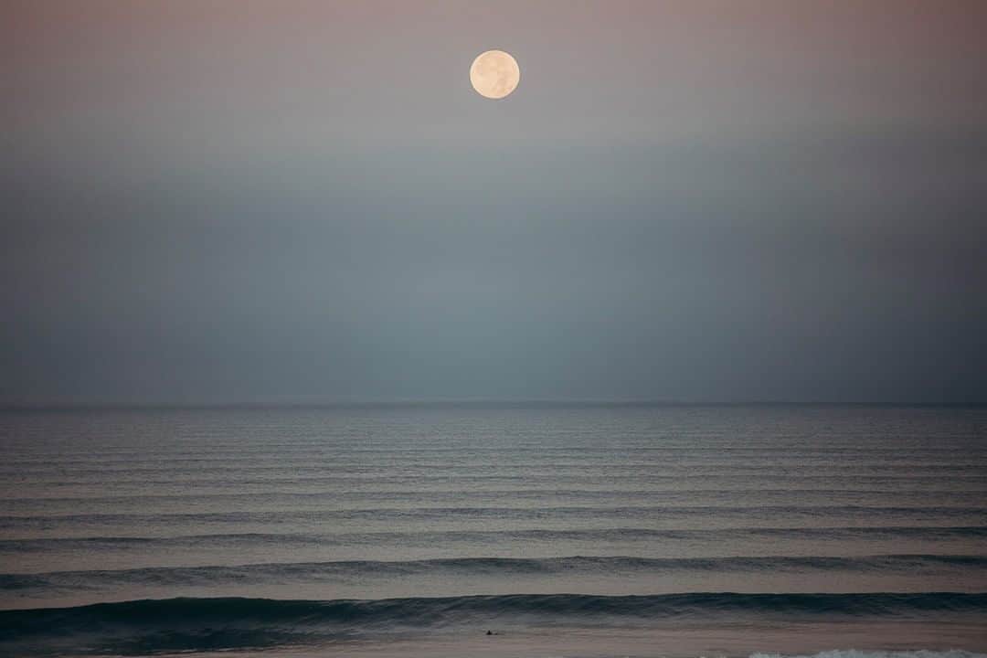 surflineさんのインスタグラム写真 - (surflineInstagram)「Lunar lines from this past summer in SoCal. 📷: @Miahklein」10月17日 0時00分 - surfline