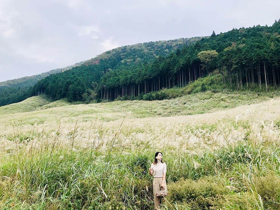KoyamaRiko さんのインスタグラム写真 - (KoyamaRiko Instagram)「ススキが永遠に続いててすっごく気持ち良かった🌿🌿 箱根行く人は是非行ってほしい💛 Photo by 父 #箱根#すすき草原」10月17日 0時12分 - riko0429