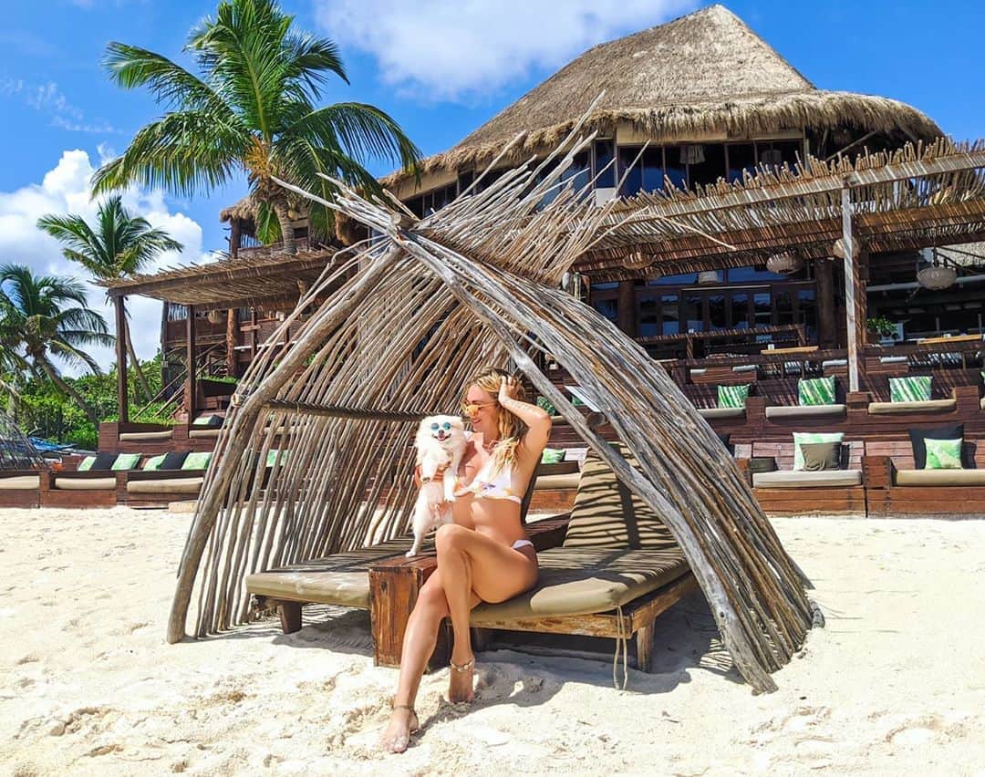アリサ・ラモスのインスタグラム：「Why Tulum is great for solo travelers! 💃🏼🌎 . As you probably know, I've traveled solo to about 100 countries, and now despite being in a long-term relationship, I still gladly up and go on my own! . Tulum is one of those destinations where it feels comfortable to be traveling alone (very similar to Bali), and here's why: . 💃🏼There are tons of other solo travelers in Tulum. Including a lot of digital nomads like me who either live there or nearby! . 💃🏼Locals are very kind, friendly, and helpful, and make you feel right at home even if you're alone. . 💃🏼Many accommodations like this one, the Amansala Eco Chic Hotel, encourage solo travelers to come relax, reboot, and even live there with their monthly stay specials!  . 💃🏼There are plenty of private or group classes you can join, from beach cleanups, to yoga! . 💃🏼You can relax in solitude or go be social at a beach club or bar, literally everyone is always willing to chat! . If you do travel solo to Tulum (or even with others) PLEASE be conscious of the fragile environment! Do not use plastic, only use natural sunscreen and mosquito repellent, and try to eat at places that are locally sourced and sustainable! More on this soon! . What are your thoughts on Tulum? Would you go there solo? . (PS how cute are Oscar's sunglasses?!) . 👙by me, link in bio! . #Tulum #tulummexico #quintanaroo #rivieramaya #MexicanCaribbean #visitmexico #solotravel #solotraveler #digitalnomad #sustainabletravel #ecofriendly #ecochic #mylifesatravelmovie」