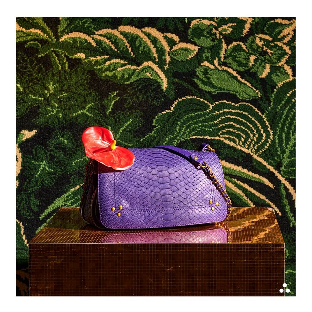 ジェロームドレイフュスのインスタグラム：「Purple Haze #JeromeDreyfussBobi . . Art Direction @carolinnerennequin Photo @pierr_antoine #jeromedreyfuss #bobi #jeromedreyfussbobi  #rootsdeluxe #aw20」