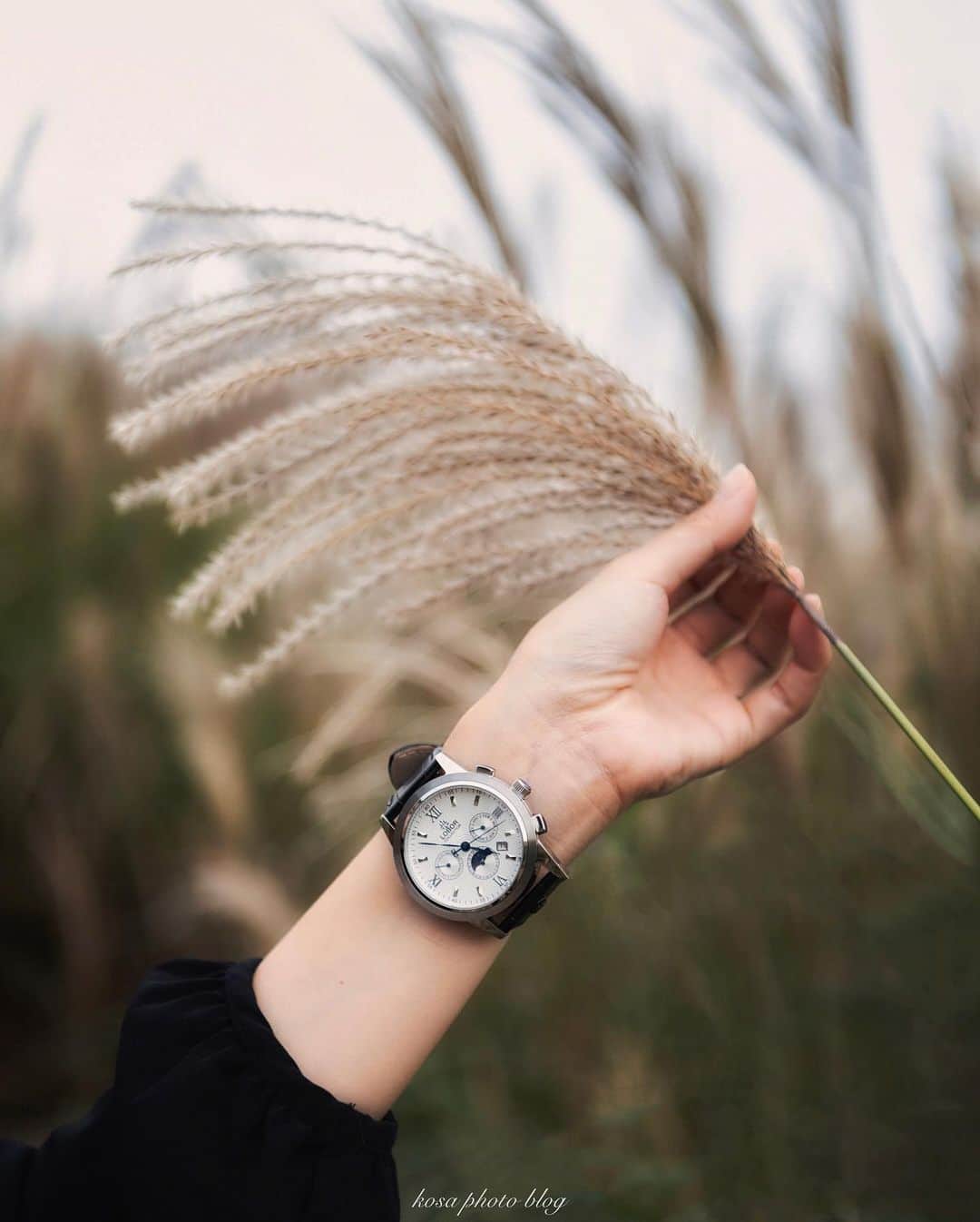 コサさんのインスタグラム写真 - (コサInstagram)「ロバーさんから時計を撮影する機会を頂きました📸 青い針が美しくて男女問わずに使える時計でした👍 . クーポンコード【kosapizc】ご使用で10パーセントオフになります。 クーポン使用期限は本日より1年間 . #lobor #ロバー #腕時計 #時計 #手元倶楽部 #コキア #彼岸花」10月17日 1時14分 - kosa_photo