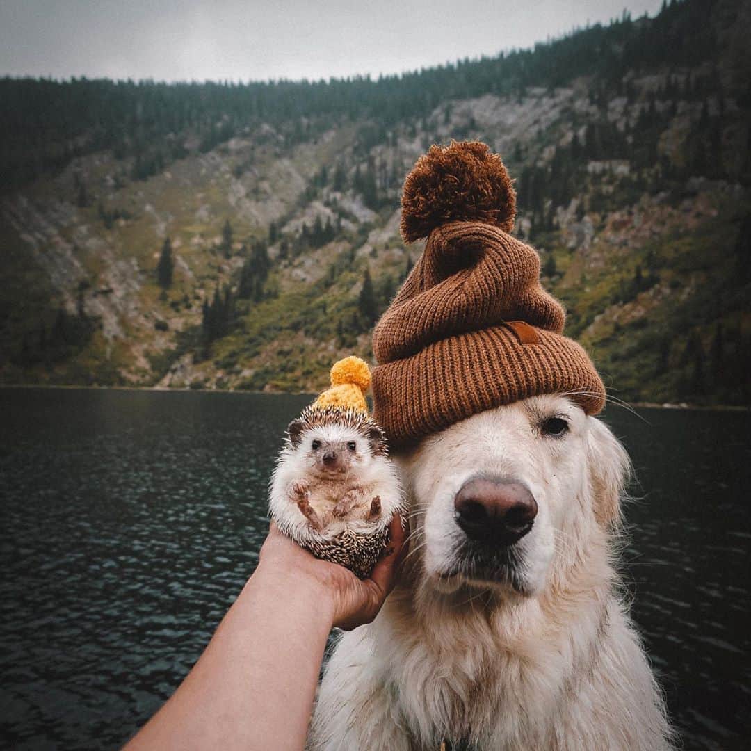 Subaru of Americaのインスタグラム