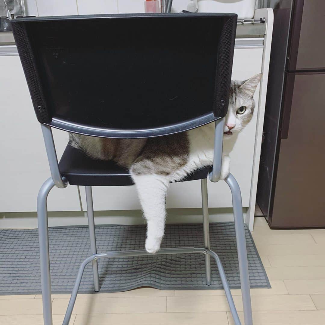 下村啓太のインスタグラム