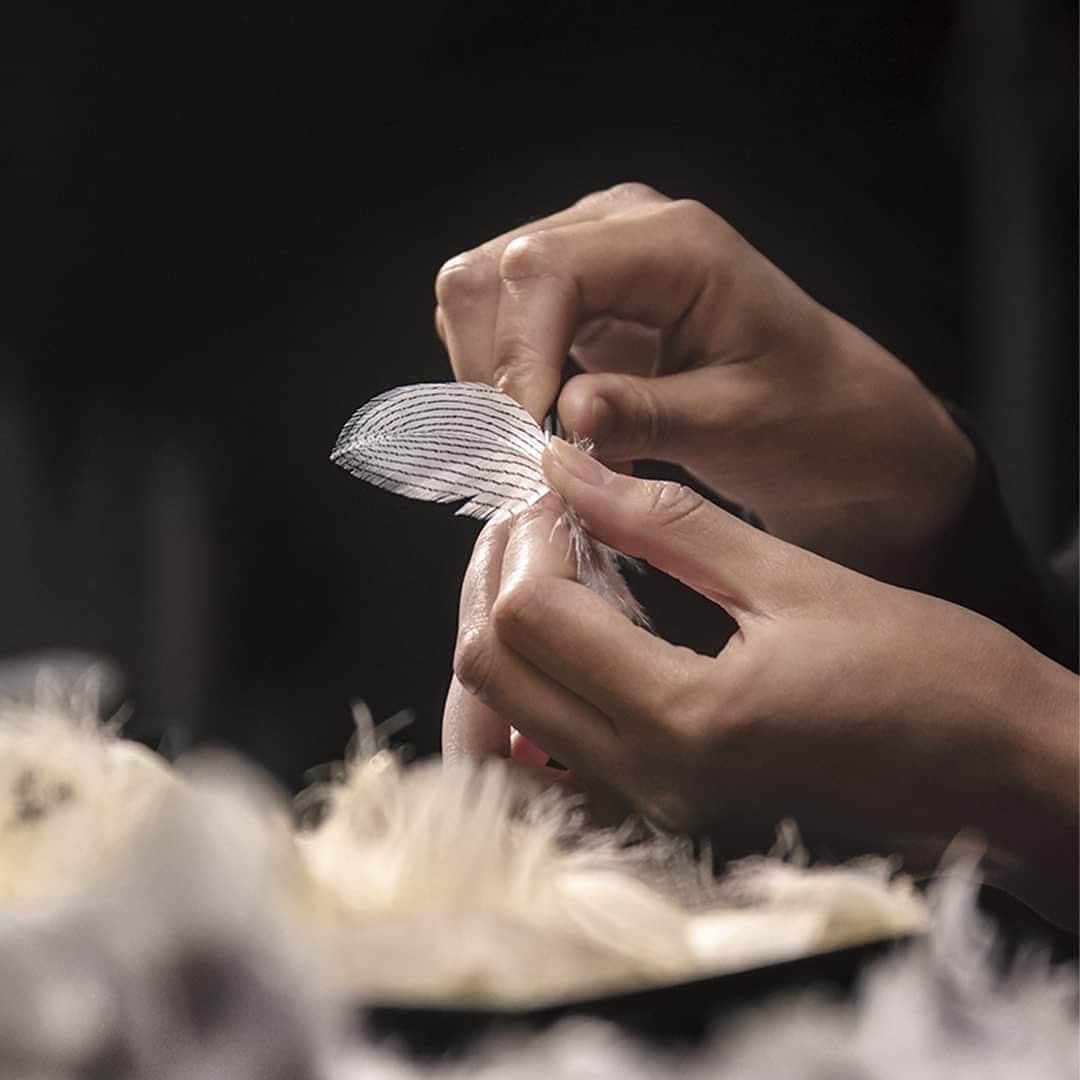 のインスタグラム：「The BEIGE and Maisons d'art coffret is lined with a creation by the Maison Lemarié, specializing in feather and floral creations since 1880. It designs the camellias for the House of CHANEL and makes ruffles, smocking and pleats for the greatest names in Haute Couture. #LesExclusifsDeCHANEL #CHANELFragrance #CHANELMetiersdArt @Maison_Lemarie #MaisonLemarie」