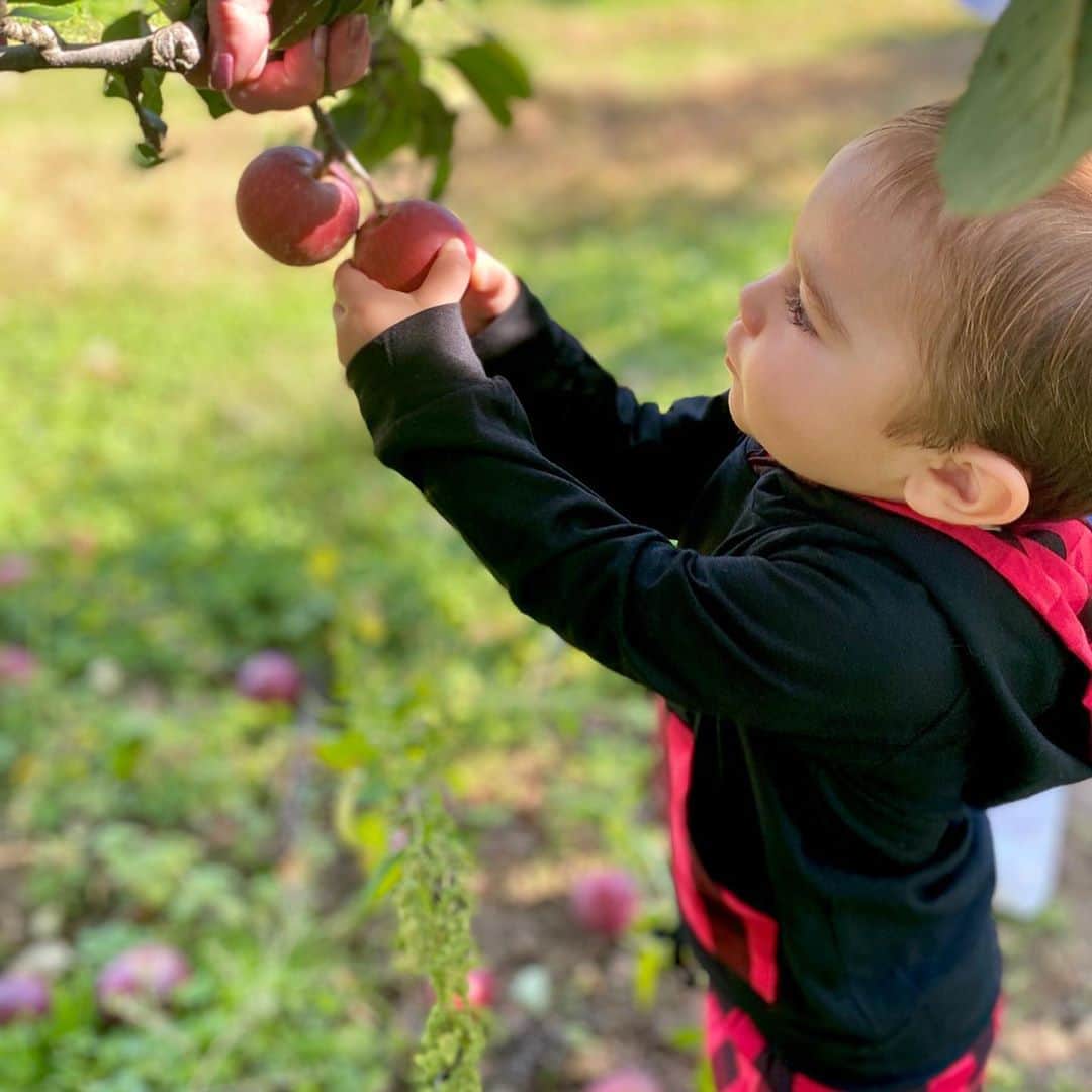 ディーナ・ニコール・コルテーゼのインスタグラム：「Man on a mission 🍎」