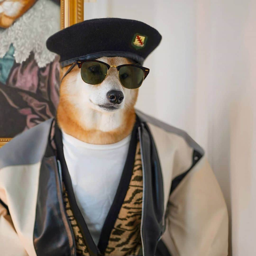 Menswear Dogのインスタグラム：「Feral Bueller's Day Off 😎  #Halloween2020 #FerrisBueller」