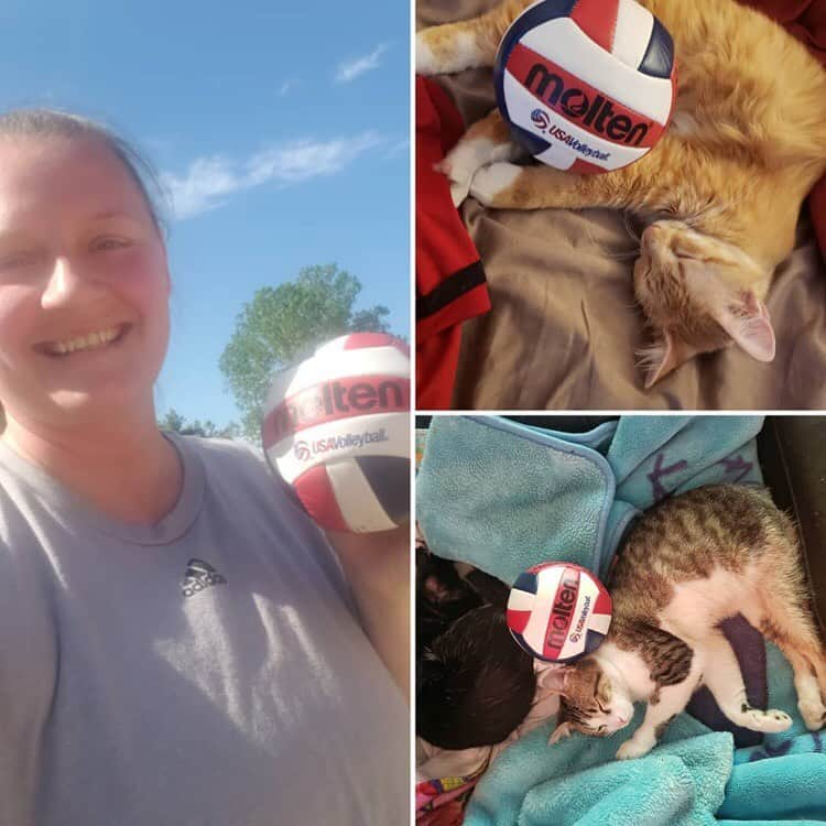 USA Volleyballさんのインスタグラム写真 - (USA VolleyballInstagram)「To all the cat lovers out there, this one’s for you! 😻 Swipe through for some adorable cat content from USA Volleyball athletes @moniqueusav7, @krobin32 and @rachaeladams!  #globalcatday #catsofinstagram」10月17日 4時43分 - usavolleyball