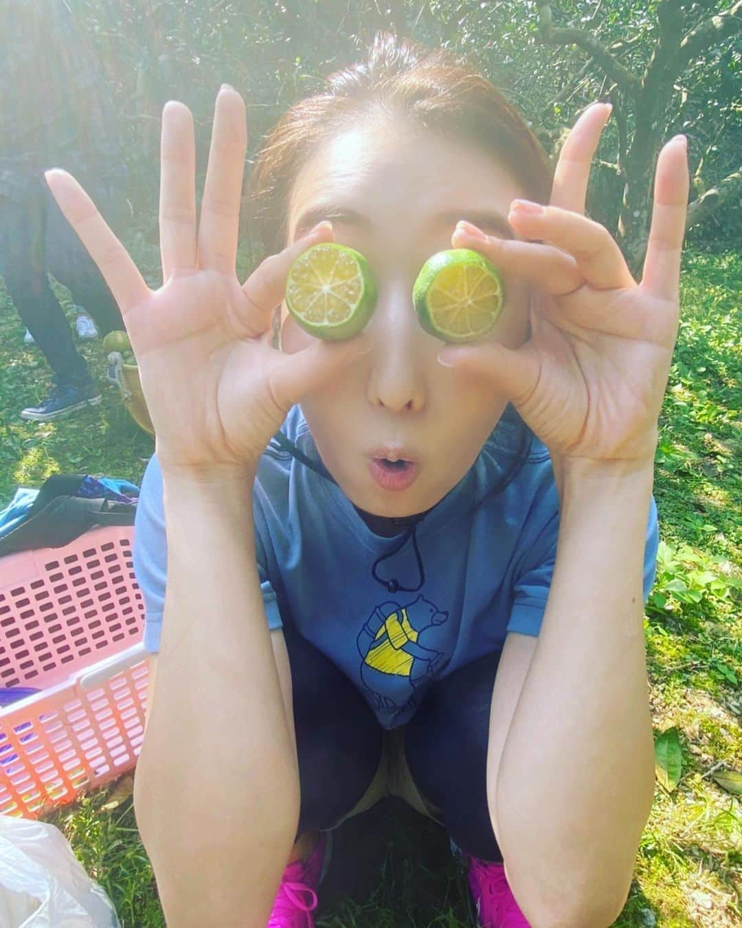 長嶺花菜さんのインスタグラム写真 - (長嶺花菜Instagram)「シークヮーサー収穫体験🍊﻿ ﻿ #大宜味村﻿ #マイクロツーリズム﻿ ﻿#アドベンチャーツーリズム @yvc.ff.tour」10月17日 16時56分 - kana_nagamine