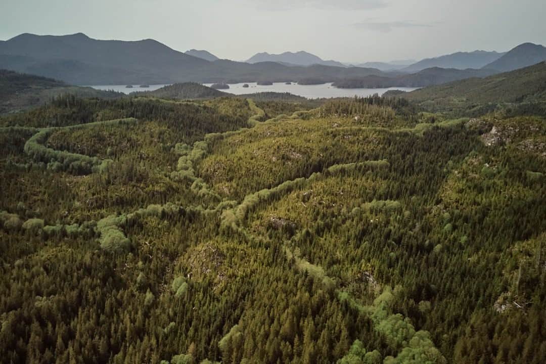 National Geographic Travelさんのインスタグラム写真 - (National Geographic TravelInstagram)「Photo by Matt Borowick @mborowick / It’s hard to tell what a certain place will look like from above, especially one as mountainous as this. Looking down onto a small piece of the Clayoquot Arm Provincial Park in British Columbia, Canada, we are given that remarkable moment. Please follow @mborowick for more pictures like this. #nature #canada #adventure #wilderness #britishcolumbia」10月17日 15時39分 - natgeotravel