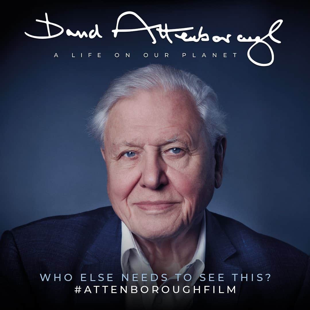 トーレイ・デヴィートのインスタグラム：「EVERYONE. ••• Check out David Attenborough’s new film #alifeonourplanet on Netflix.  It’s a must see! We all need to step up to save this beautiful planet we live on. At this point, there’s no other option. ❤️ 🌎」