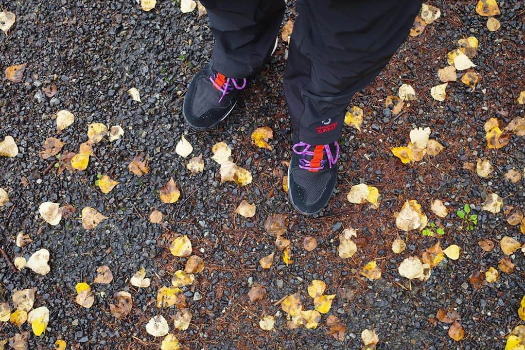 田中毅さんのインスタグラム写真 - (田中毅Instagram)「🍂🍁  #一気に気温が下がってきた #いよいよ箱根駅伝予選会 #僕はテレビ観戦します」10月17日 9時16分 - tanaka_ta_ke_shi