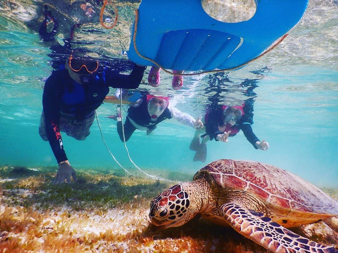 上野真衣のインスタグラム：「70歳の母も海ガメ🐢さんと泳げました💕 撮影成功しました🙌✨ 最後は、波に揺られて浮き輪で寝た娘！😂  #シュノーケリング #シュノーケリング沖縄  #シュノーケリングスポット  #シュノーケリング最高  #新城海岸 #海ガメと泳ぐ  #海ガメ #海ガメlove  #okinawalove #❤️」