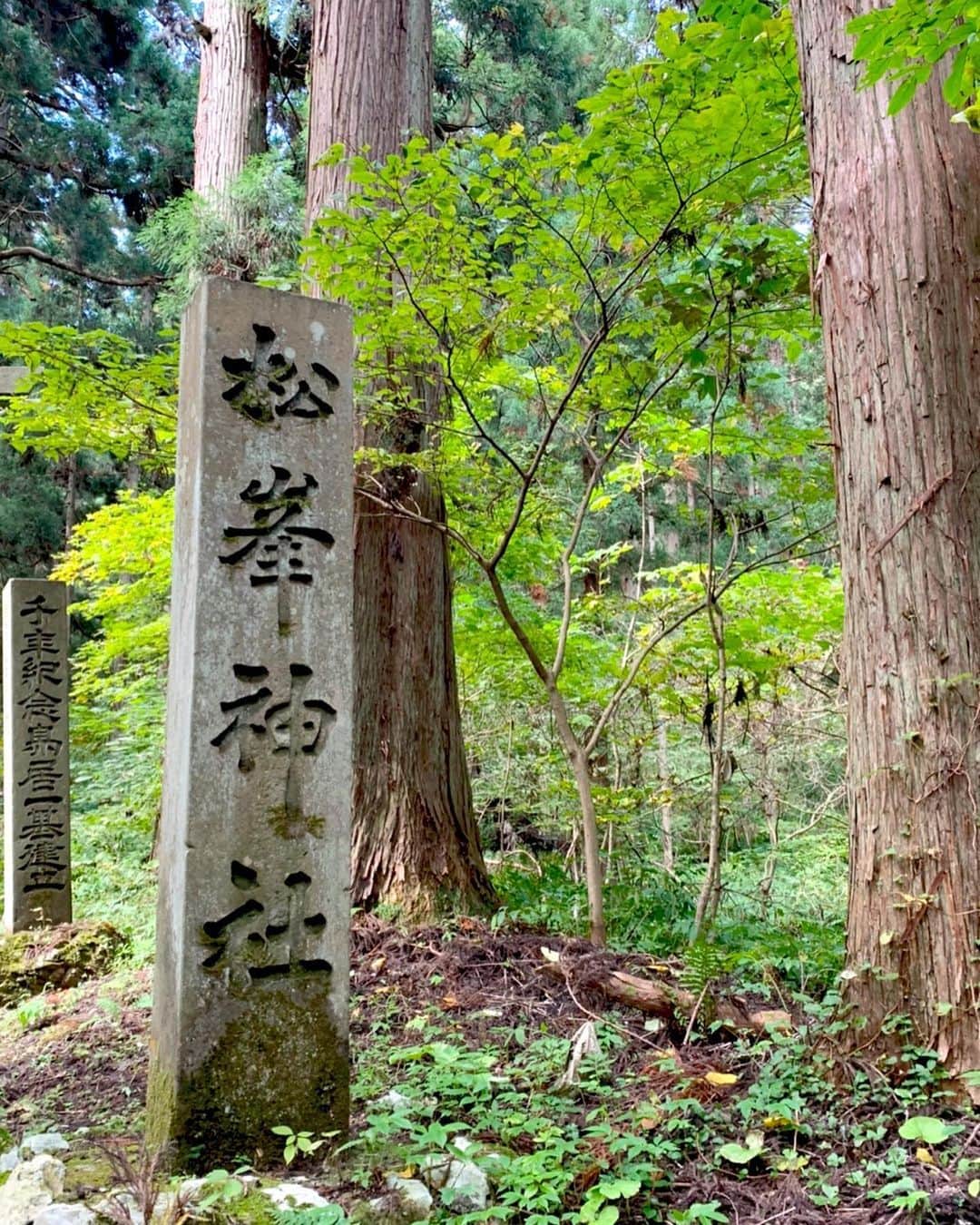 百瀬俊介のインスタグラム：「大館市で最も古い「松峰神社」 大地にしっかりと根を張る天然秋田杉の樹齢は300年〜500年だそうです！ そりぁマイナスイオン…溢れ出ますよね！ 長い月日、大館の街を見下ろし見守ってきたのでしょう。 鳥居をくぐり御堂まで160段の階段を登りやっと御堂に到達。 神社巡りをされている方にはもちろん大館のパワースポット巡りとしてもオススメの場所です！  #大館 #松峰神社 #パワースポット #神社巡り #観光大使」