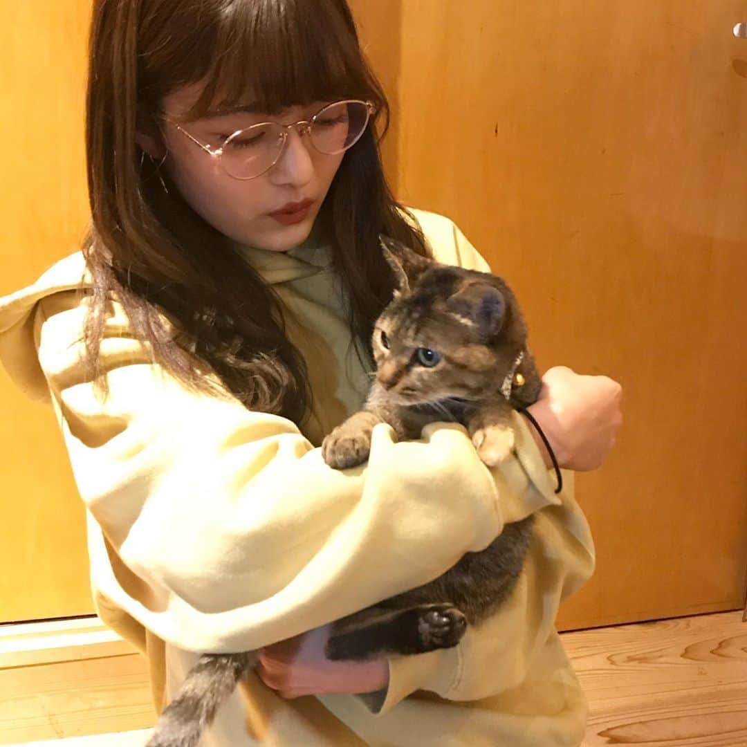 井上咲楽さんのインスタグラム写真 - (井上咲楽Instagram)「. 相変わらず飼い猫に懐かれないです。。 5年飼っている . #この後速攻逃げられました #ものすごい力で逃げて行った #生命力感じました」10月17日 9時51分 - bling2sakura