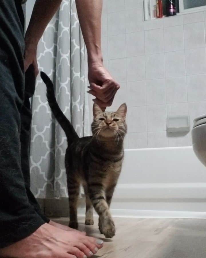 Garyのインスタグラム：「The #stanhandling always happens in the bathroom because he never leaves me alone」