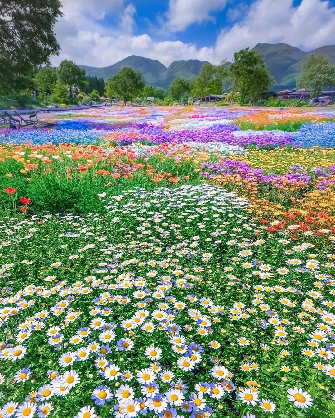 BEAUTIFUL DESTINATIONSさんのインスタグラム写真 - (BEAUTIFUL DESTINATIONSInstagram)「A feast for the eyes! 🌈 Have you seen a garden as magnificent? This stunning landscape was taken in the Kuju Flower Park in Japan, a lush park that boasts about three million plants of more than 500 different varieties. Its seasonal flowers take turns to bloom for most of the year except during the wintertime.   Which flower parks do you dream of visiting? 💐  📸 @astrailor_jp 📍 Kuju Flower Park, Japan」10月17日 11時07分 - beautifuldestinations