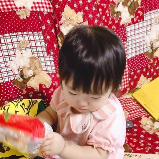 中谷一馬のインスタグラム：「#娘 👧のみよちゃん1歳5ヶ月。 #山崎製パン( #ヤマザキ )の #イチゴスペシャル 🍓 が美味しいことをよく知ってます😅笑 親子で好物が似ることもよくわかりました😓笑 #衆議院議員 #中谷一馬 #港北区 #都筑区」