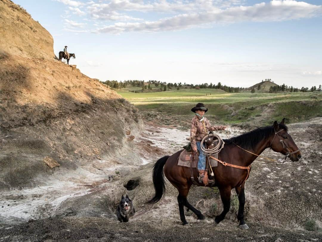 ナショナルジオグラフィックさんのインスタグラム写真 - (ナショナルジオグラフィックInstagram)「Photo by @gabrielegalimbertiphoto and Juri De Luca / Fossils of long-extinct creatures aren’t just for museums. Today they're in homes and businesses, as wealthy collectors indulge a controversial hobby. Known in some circles as the “dinosaur cowboy,” rancher Clayton Phipps (top) explores part of the Hell Creek formation near his home in Jordan, Montana, with his son Luke. The layers of fossil-rich rock date to the end of the Cretaceous period and contain a valuable record of the world just before the dinosaurs became extinct. Many scientifically important fossils have been found here, including the world’s first identified T. rex, in 1902. In the United States, fossils found on private property usually belong to the landowner, and collectors may strike deals with owners to dig on their land. Phipps says fossils generate the bulk of his income, so when he’s not tending to ranch duties, he works his land in a more lucrative way—scouring it for dinosaur bones. #dinosaur #montana #dino」10月17日 11時35分 - natgeo