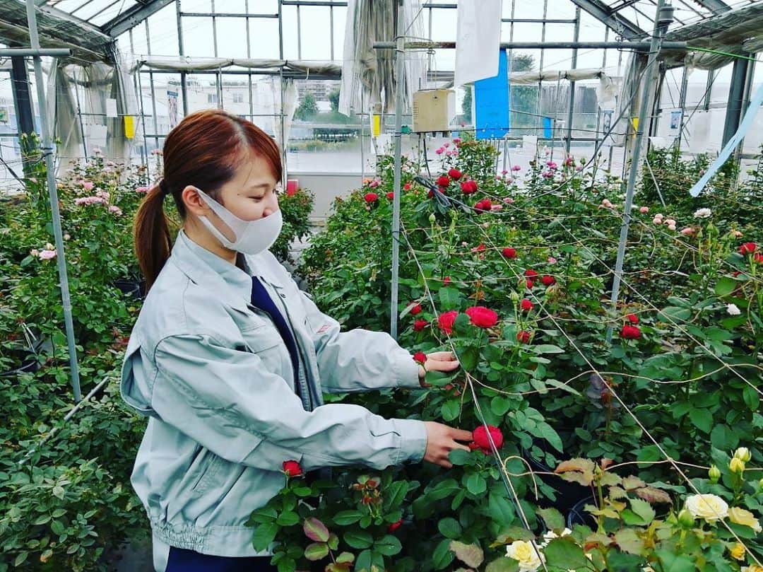 東京バイオテクノロジー専門学校のグルメインスタ