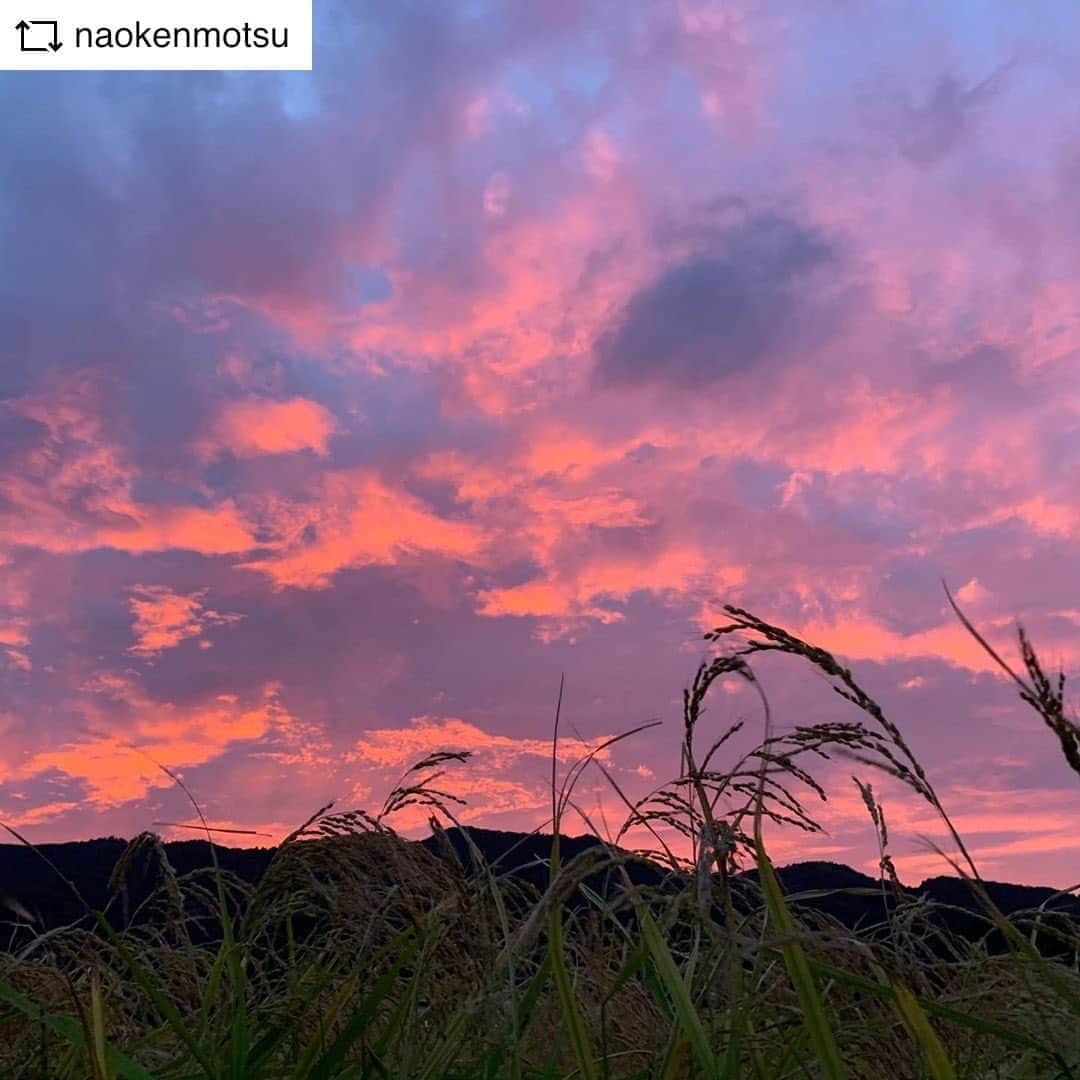 青山有紀のインスタグラム