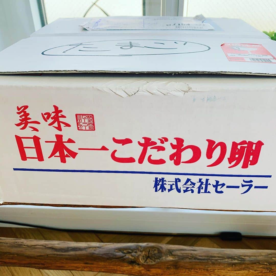 金村義明さんのインスタグラム写真 - (金村義明Instagram)「キンキクレスコ会長 堀川さん 栗山米穀店栗山社長 奈良香芝の理事長  感謝です🙇‍♂️🙇‍♂️🙇‍♂️」10月17日 11時46分 - yoshiaki_kanemura