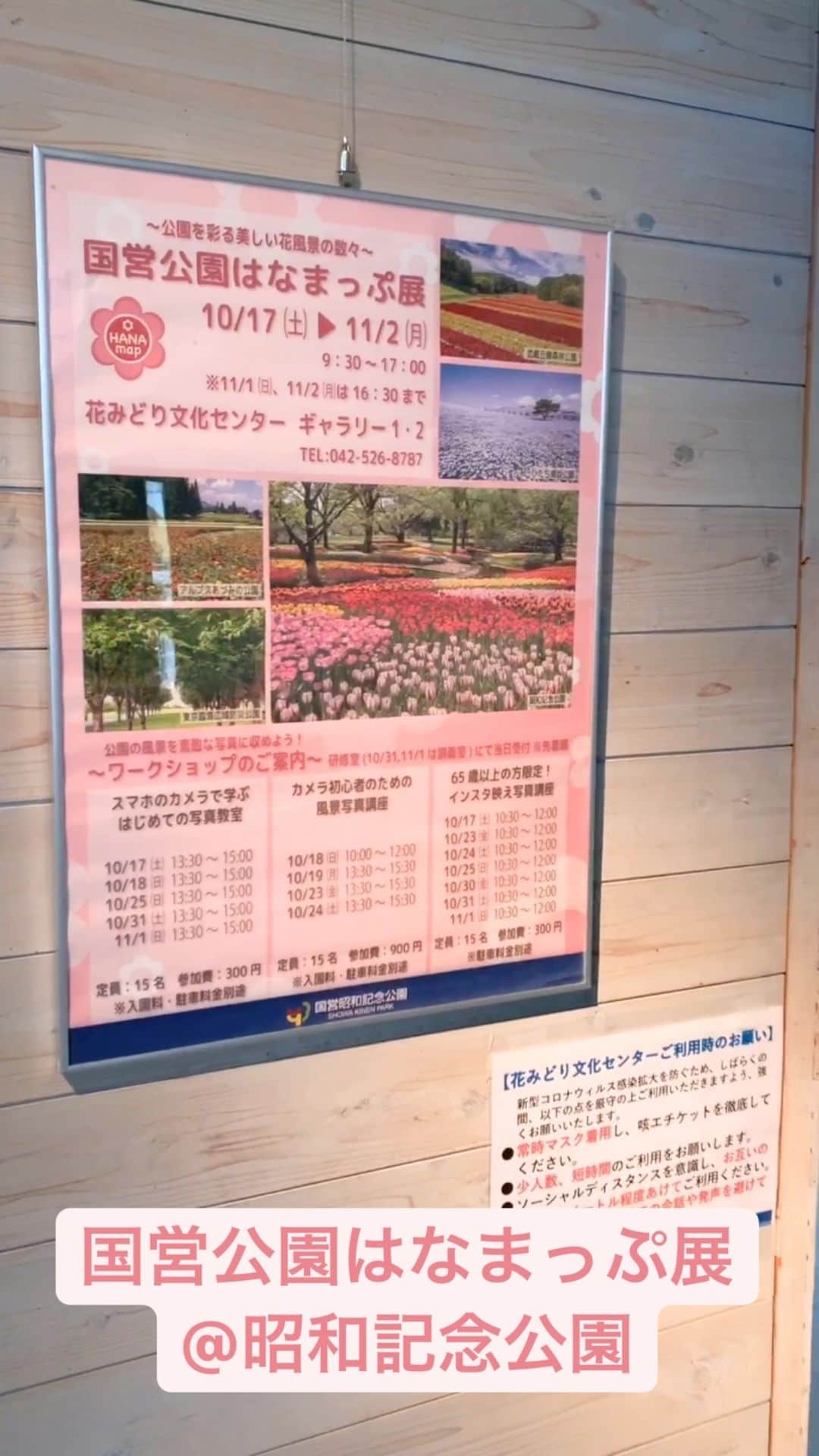 はなまっぷ 日本の花風景さんのインスタグラム動画 はなまっぷ 日本の花風景instagram 国営公園はなまっぷ展 10 17 土 から11 2 月 まで 昭和記念公園 花みどり文化センター ギャラリー1 2 国営公園の魅力を伝えるパネルや インスタグラムで募集させて