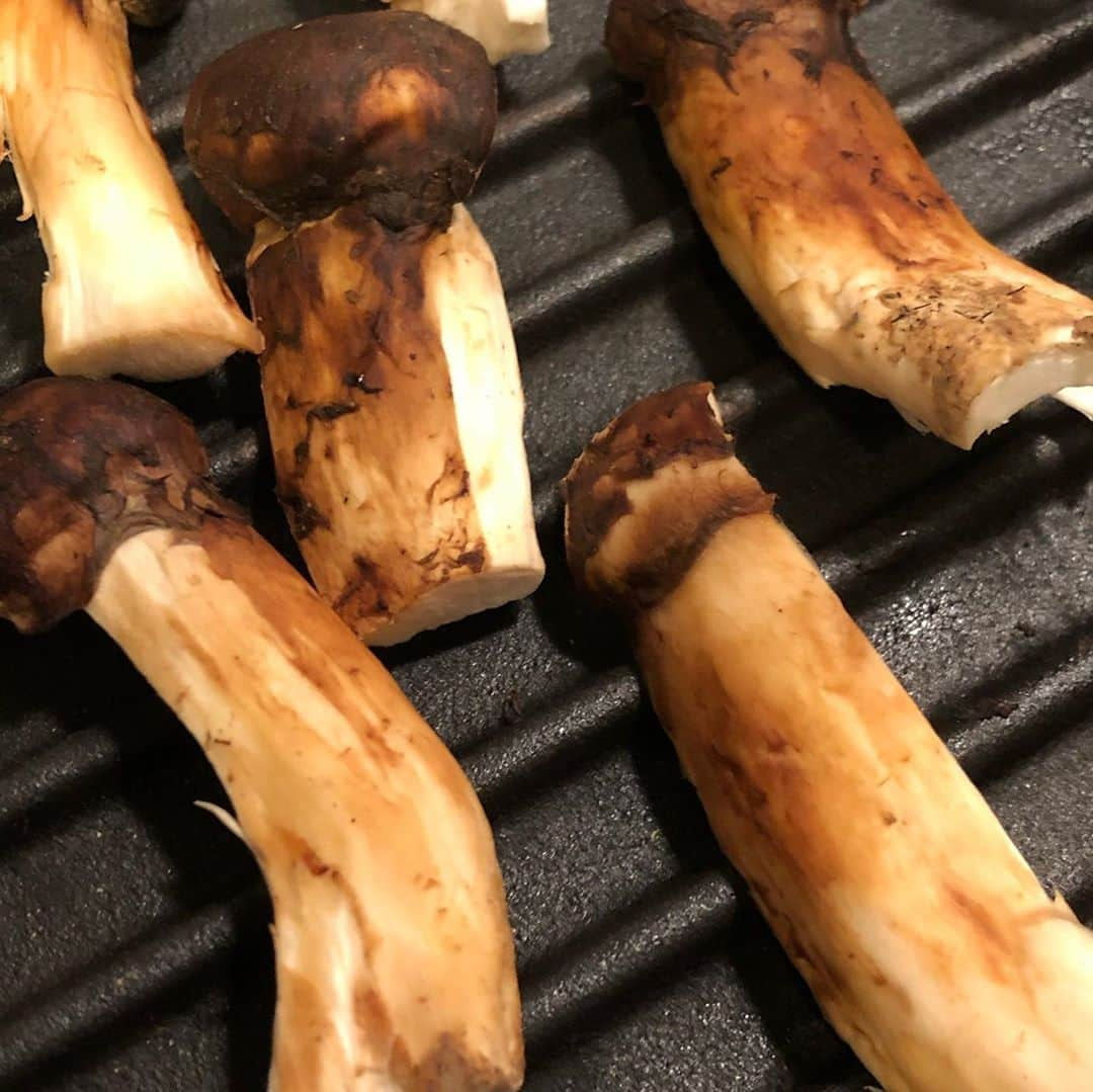 阿部洋子さんのインスタグラム写真 - (阿部洋子Instagram)「🍄🍄🍄 とんでもない贈り物を頂きまして。 秋の味覚を堪能しました🎶 #マツタケ #松茸   この画ヂカラ、やばし！ 破壊力すご！  まずはあぶって、 歯ごたえと香りを味わって。 つづいて、土瓶蒸しに。  香りよし！ すだちを絞って、キュッと味がしまった感じ。  しあわせやー  #美味しゅうございました   #秋の味覚 #土瓶蒸し #おうちごはん   #thankyou」10月17日 12時41分 - hirocoring