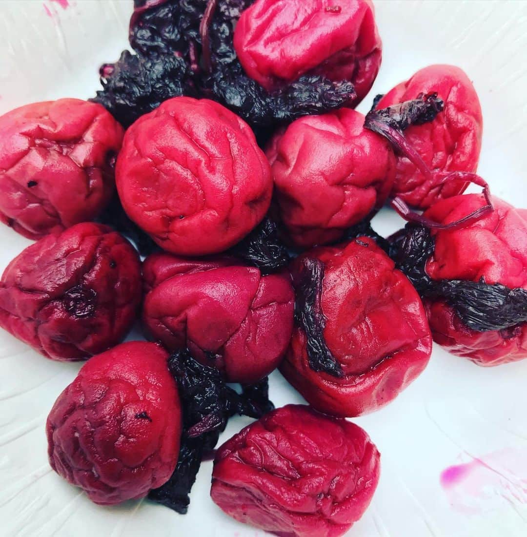 田中卓志さんのインスタグラム写真 - (田中卓志Instagram)「こういうタイプの梅が好きです！ (● ˃̶͈̀ロ˂̶͈́)੭ꠥ⁾⁾すっぱい  #アンガールズ #梅干し  #しそ  #plum」10月17日 12時36分 - ungirls_tanaka