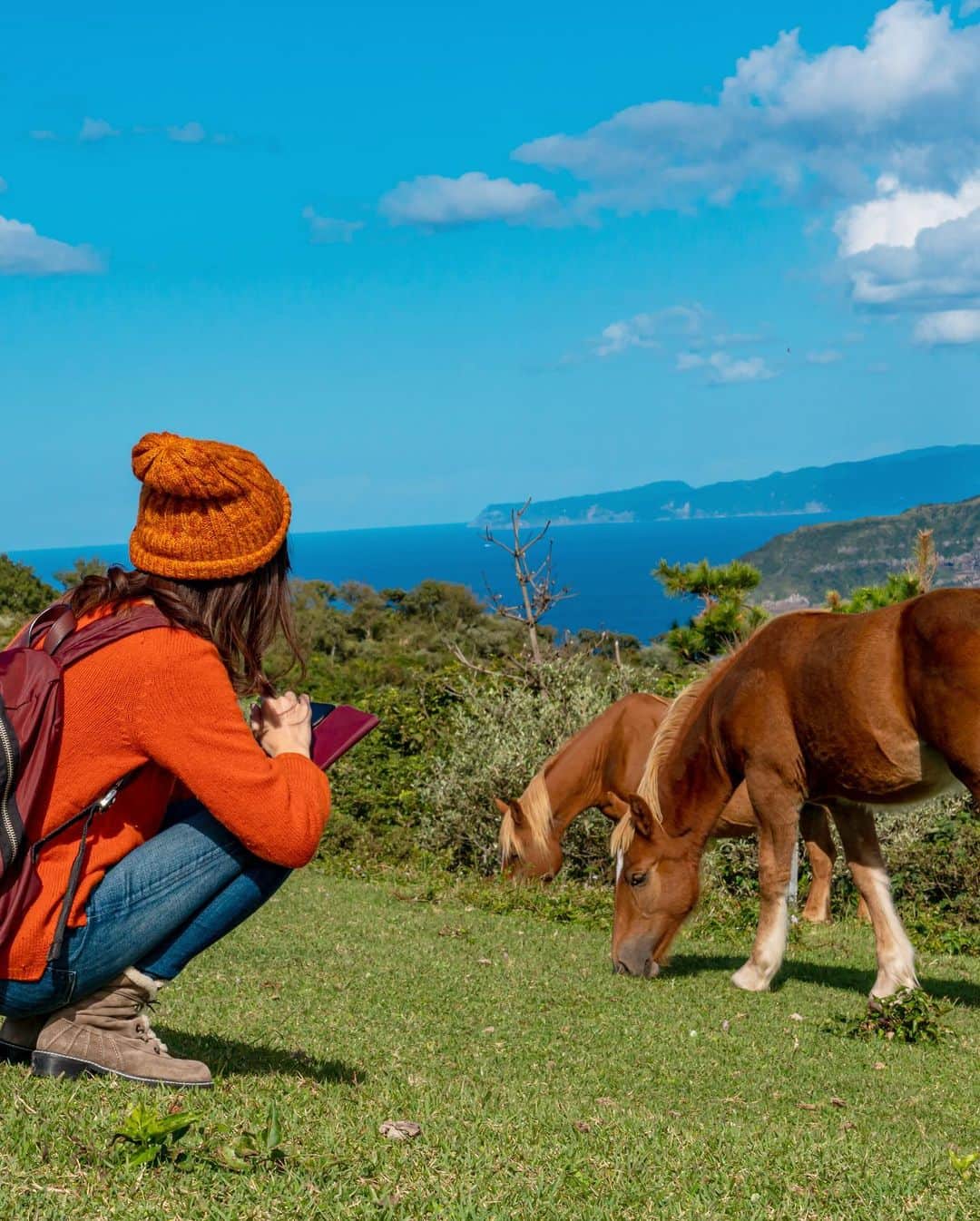 近藤しづかさんのインスタグラム写真 - (近藤しづかInstagram)「胸きゅん💓 スポット発見です！  絶景はもちろんなんだけれど 私はお馬さんの脚の角度が (5枚目) 気になってしょうがない🤣 グッとバランス👍  Hi I’m in Nishi Island, which is a part of Oki Islands!  Actually I didn’t know much about Oki islands and didn’t expect much more before I came here, but now I admit how amazing these islands are!!! Wild horses and cows are everywhere 🐴🐃 eating green grass 24/7... Hiking in nature makes me feel happier 🌈  #島根県　#西ノ島　#摩天崖 #国賀海岸 #通天橋　#胸キュン  #隠岐ユネスコ世界ジオパーク #島旅　#絶景　#馬　#牛　#海 #放牧  #shimane #okiisland #matengai #nishinoshima #naturephotography #lovenature #lovetraveling  #wildhorse #socialdistance  #coastline #visitjapan」10月17日 12時59分 - shizuka_kondo