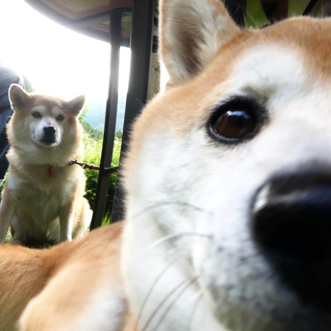 豆助左衛門（まめすけざえもん）のグルメインスタ