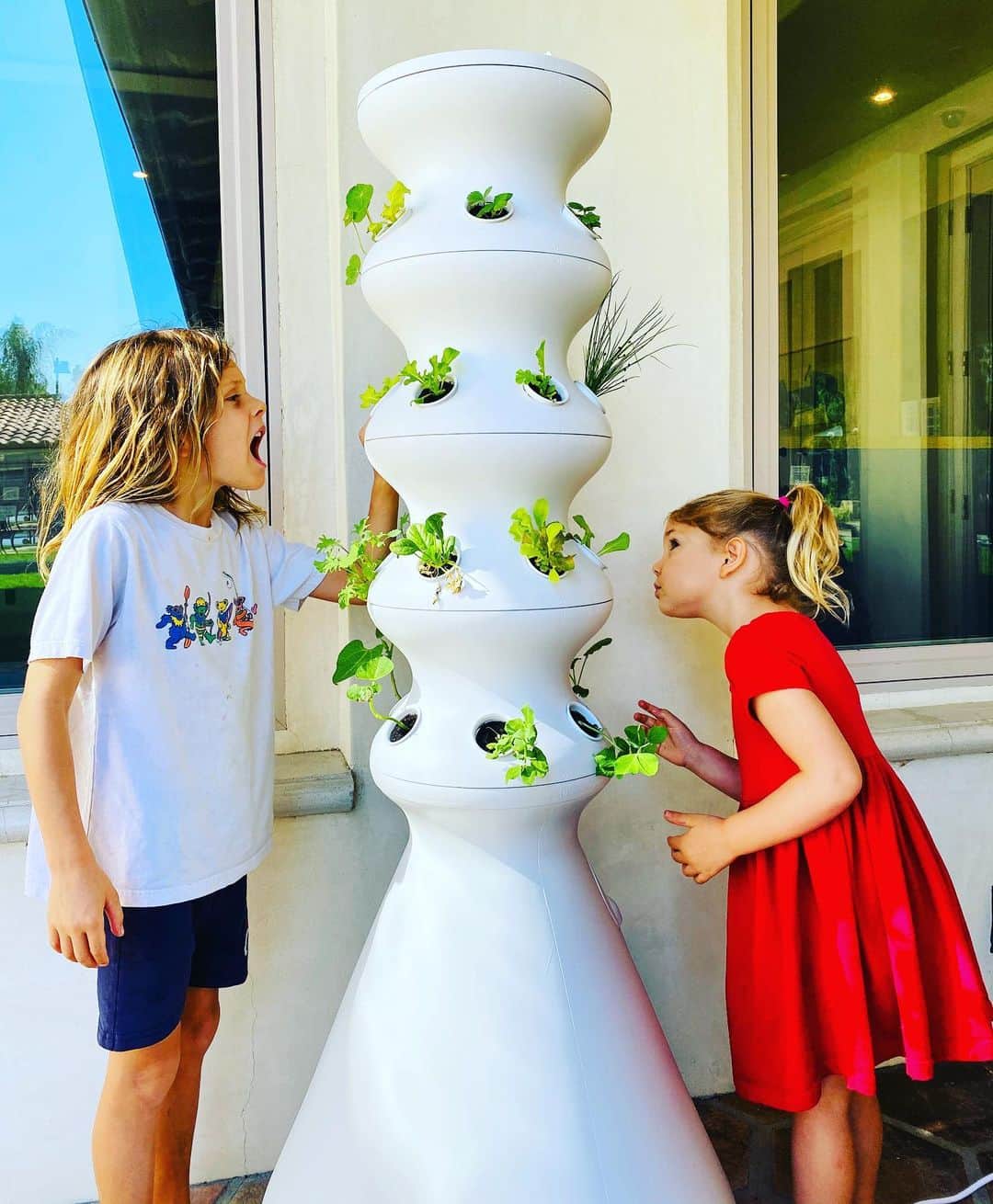 ダニエラ・ルーアのインスタグラム：「After we put all our little seedlings in their little pots... I quickly realized I made no note of what went where.  River could be attempting to bite a geranium for all we know. But somewhere in here we have strawberries, broccoli, green beans, butter lettuce, kale, basil, oregano and much more! @lettucegrow is AWESOME 🌱🌱🌱🌱 . Depois de pôr as plântulas nos pequeninos vasinhos, apercebi-me que não escrevi onde pus o quê, portanto é possível que o River esteja a abrir a boca a um gerânio. Mas algures por aqui estão morangos, bróculos, feijão verde, alface manteiga, couve frisada, mangericão, oreganos e muito mais! ADORO a @lettucegrow 🌱🌱🌱🌱🌱🌱 . #homegrown #planting #vegetables #fruit #grow #lettucegrow #pickandeat #kids #siblings #family」