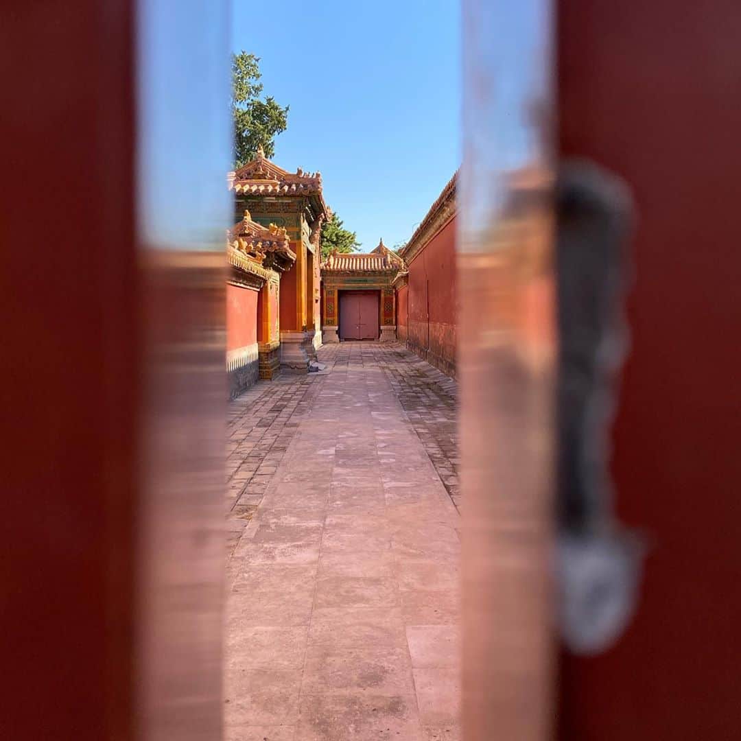 Symmetry Breakfastさんのインスタグラム写真 - (Symmetry BreakfastInstagram)「Hello Beijing! A cheeky weekend away in China’s capital city, it’s been nothing but pristine blue skies for us 💙 Forbidden City ✅  Peking Duck ✅ Beijing Hotpot ✅ Staying at the Opposite House @oppositehouse as usual, I love it so much. My sister lived in Beijing for many years before we lived in Shanghai ourselves, I have so many great memories from the late noughties (I’ll upload some pics in Stories later) #symmetrybreakfast」10月17日 13時35分 - symmetrybreakfast