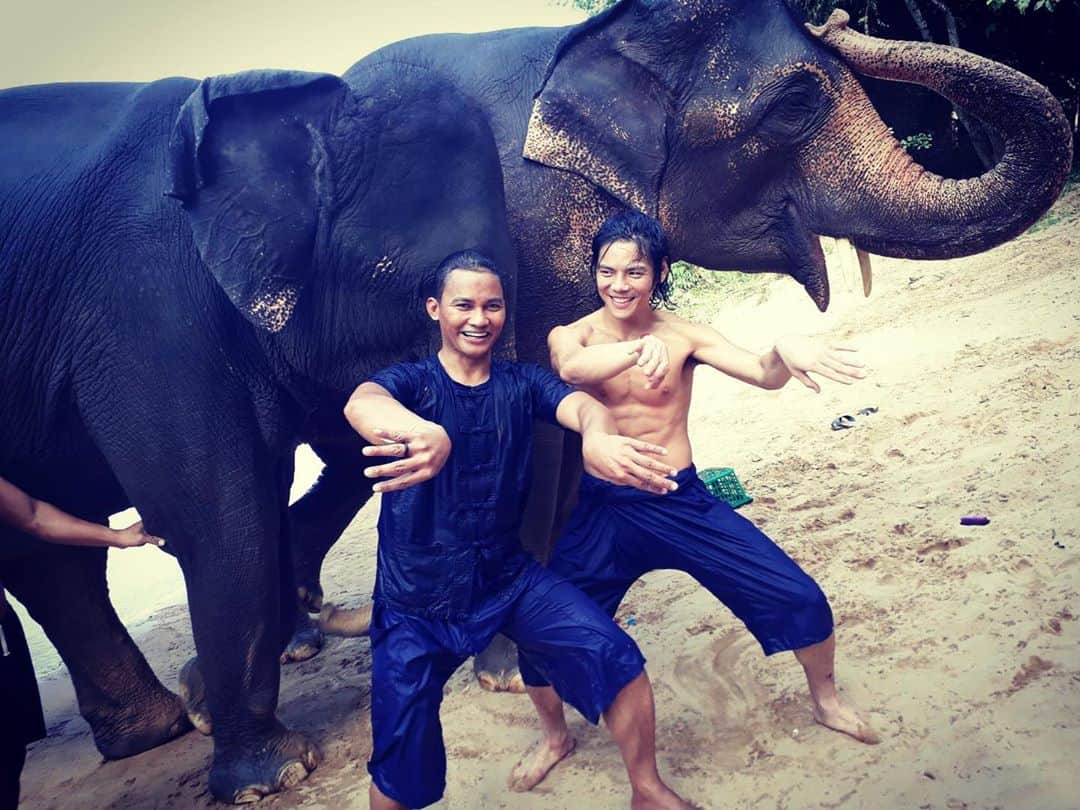 トニー・ジャーのインスタグラム：「Happy with elephants!!」