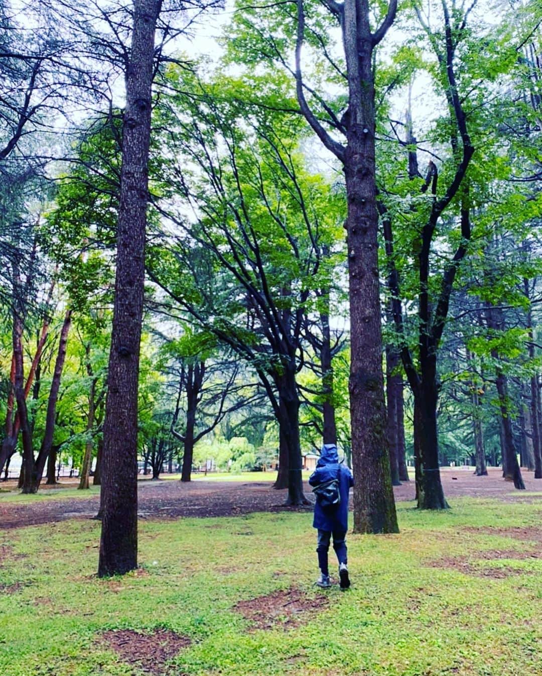 谷川じゅんじさんのインスタグラム写真 - (谷川じゅんじInstagram)「Rainy park explorer. 雨の代々木公園。バニラスカイ状態。雨と落ち葉と深まる秋。人のいない公園、超贅沢。#yoyogipark #goodvibesonly #goodneighbors #tokyolife #thisisjapan」10月17日 14時06分 - junjitanigawa